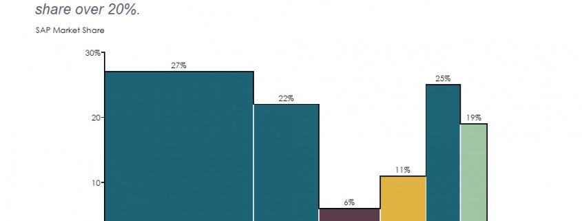 Bar Mekko Chart of SAP Market Share by Segment