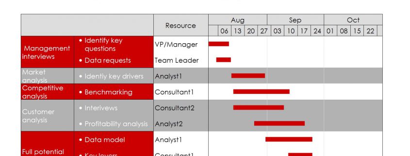 Gantt chart showing a consulting workplan.