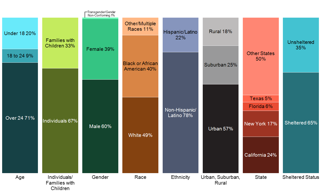 100% stacked bar chart of homeless by age, gender, race, ethnicity, location, and sheltered status, based on data from HUD.