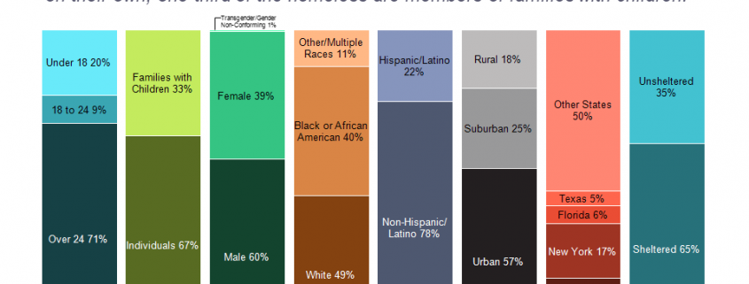 Bar chart showing the demographics of homelessness in the US