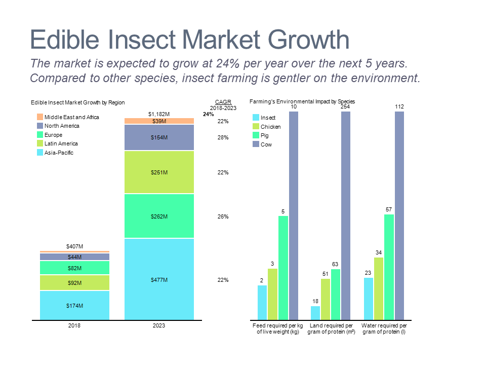 Bar charts showing edible insect market growth and environmental comparison to other protein sources